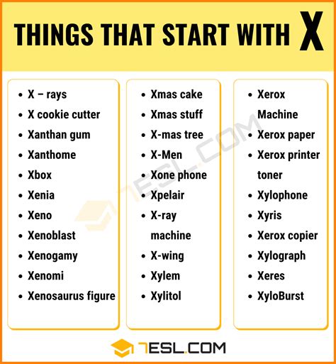 grocery store items that start with x